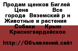 Продам щенков Биглей › Цена ­ 15 000 - Все города, Вяземский р-н Животные и растения » Собаки   . Крым,Красногвардейское